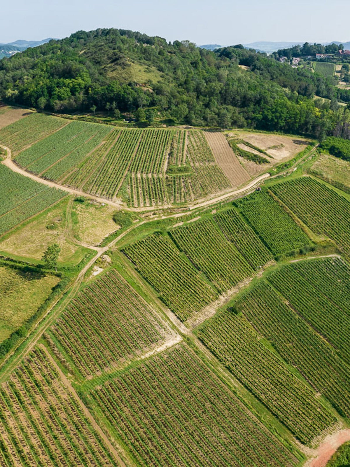 Domaine Pignier - CC: Jean Marc Baudet