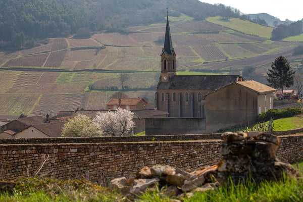 Domaine Saumaize