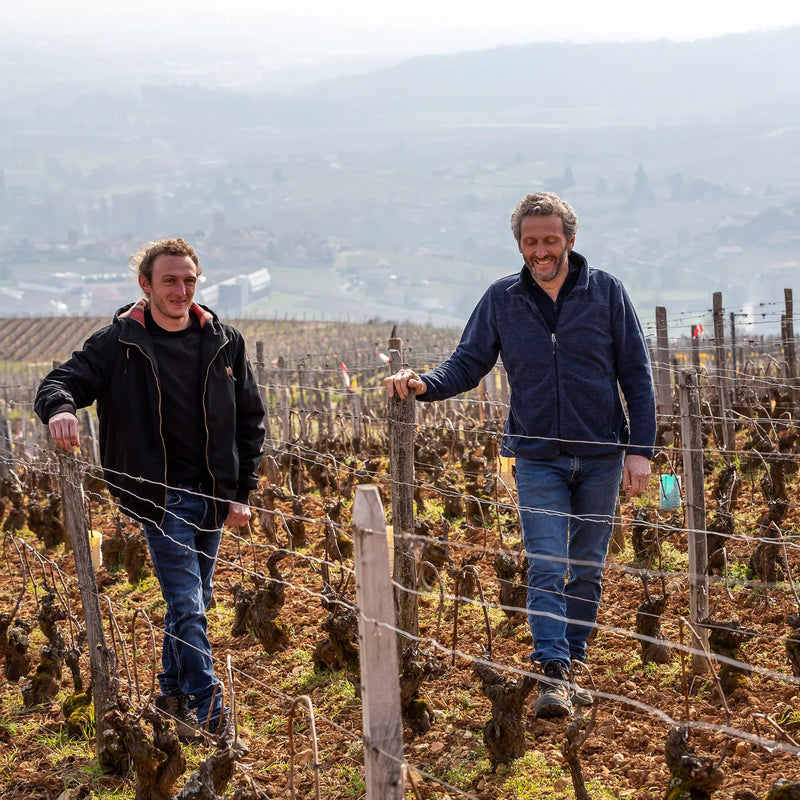 Domaine Saumaize