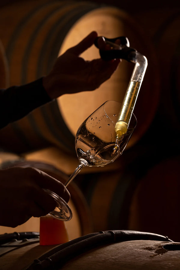 Domaine Saumaize