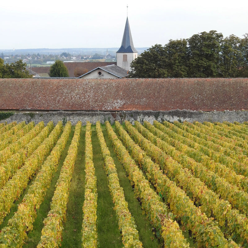 Domaine Blain-Gagnard