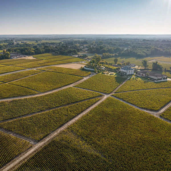 Chateau Haut-Bailly