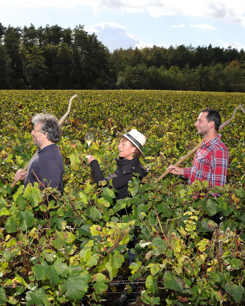 Champagne Fleury Pere & Fils