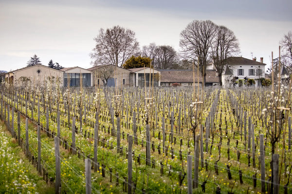 Chateau Quinault L'Enclos