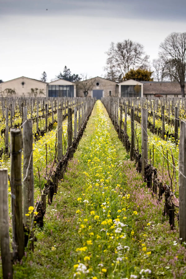 Chateau Quinault L'Enclos
