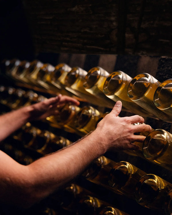 Louis Roederer