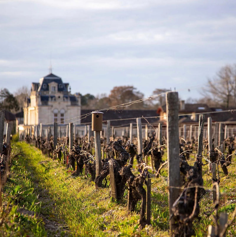 Chateau Giscours