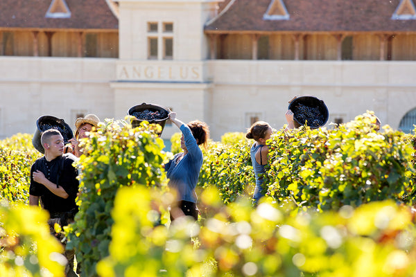 Chateau Angelus