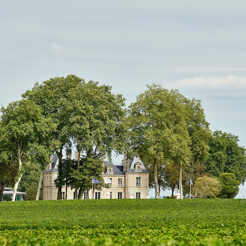 Chateau Pichon Longueville Comtesse de Lalande