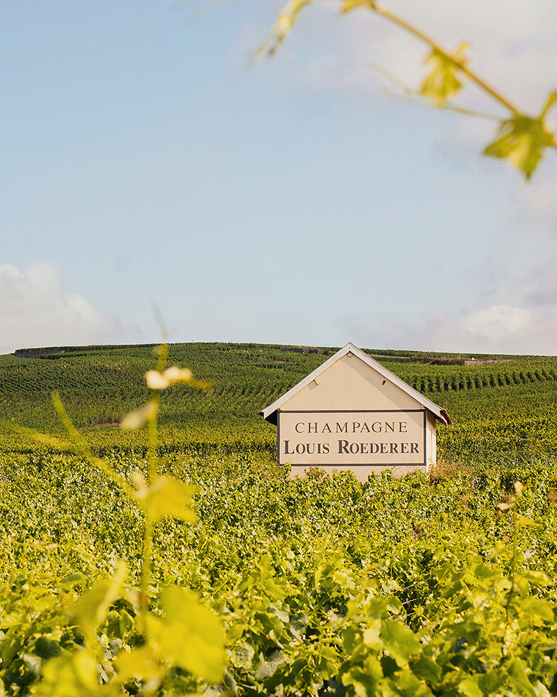 Louis Roederer