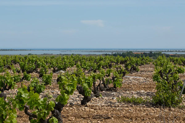 Domaine de La Janasse