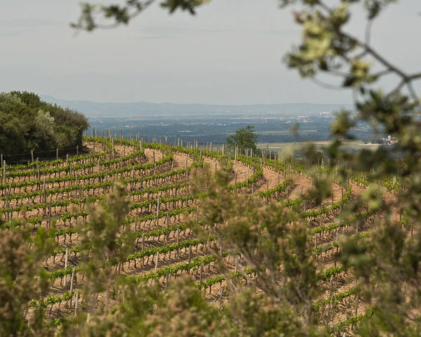 Domaine de La Janasse