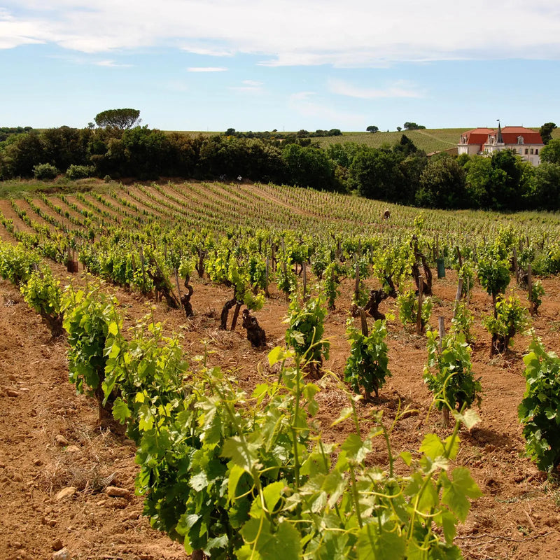 Domaine du Banneret