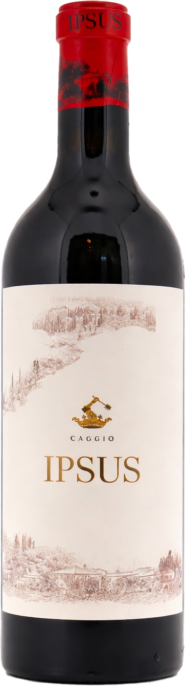 Ipsus Chianti Classico Gran Selezione° Italie Vin italien 2020
