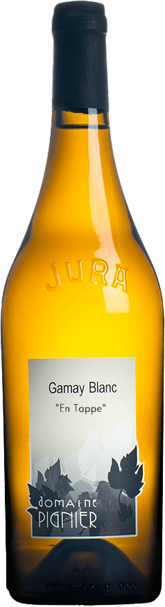 Gamay Pignier JURA Jura 2023