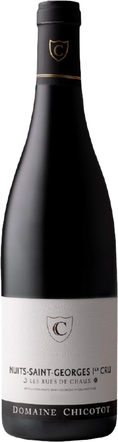 Nuits Saint Georges Les Rues de Chaux Domaine CHICOTOT Bourgogne rouge 1996
