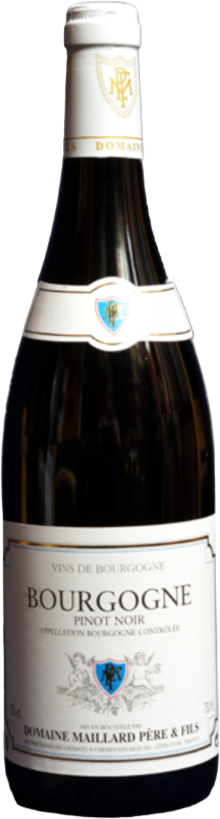 Bourgogne Cote d'Or Pinot Noir Domaine MAILLARD Bourgogne rouge 2024