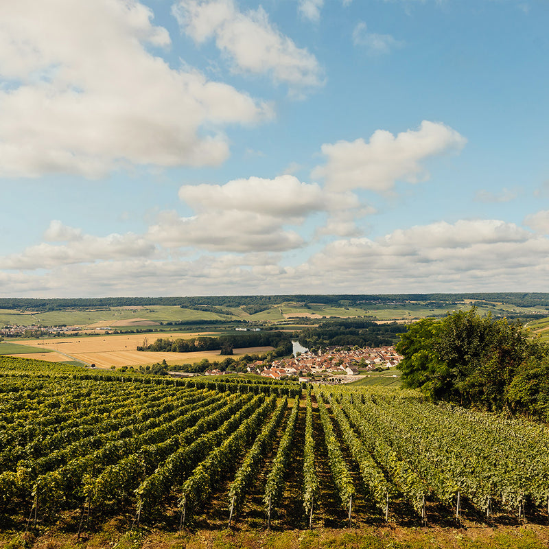 Louis Roederer