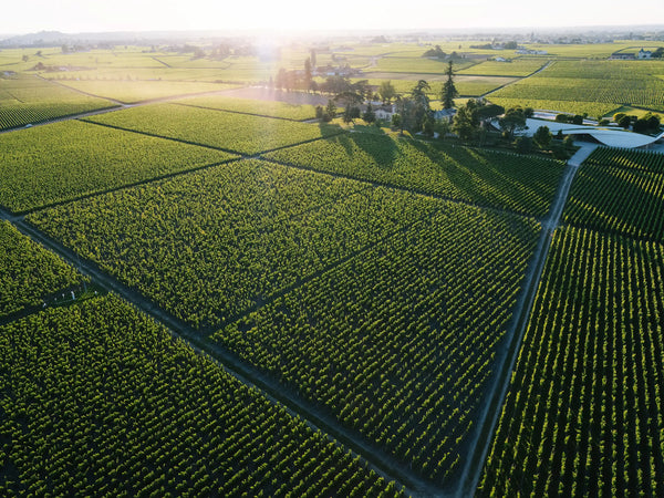 Chateau Cheval Blanc