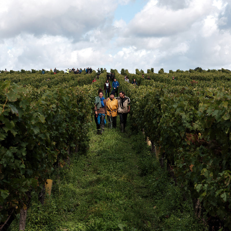 Domaine Breton