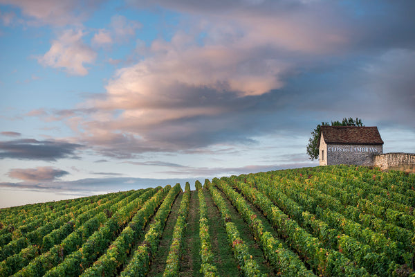 Domaine des Lambrays