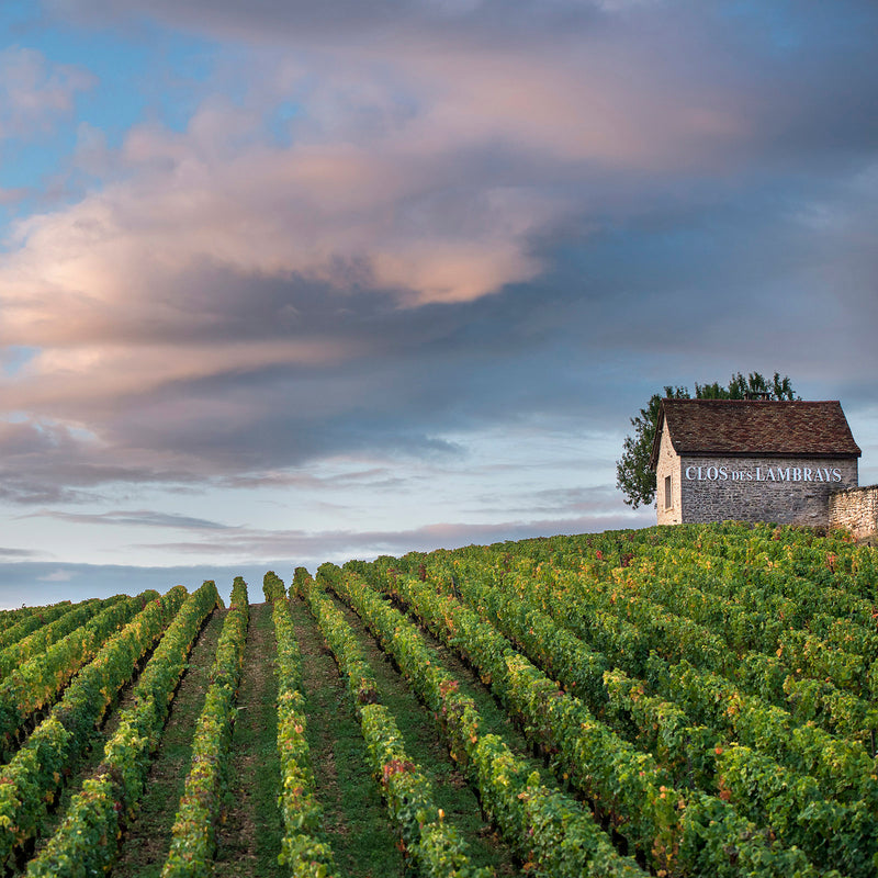 Domaine des Lambrays