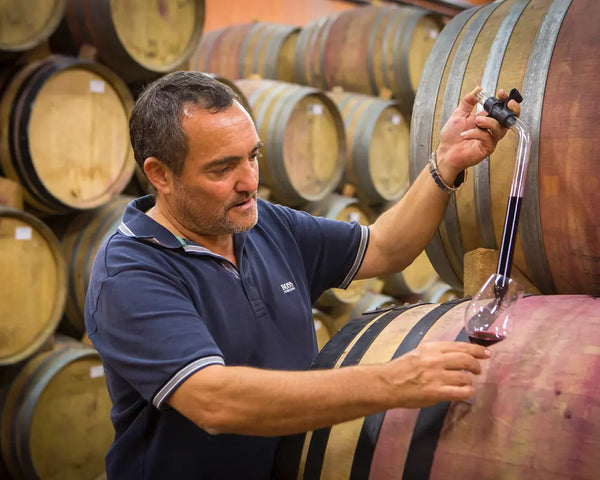 Domaine Yves Cuilleron