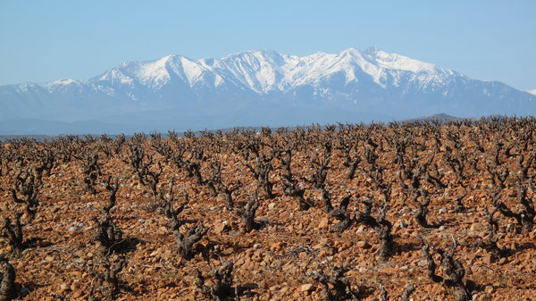Le Clos des Fees