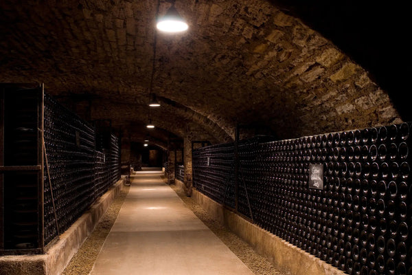 Louis Jadot