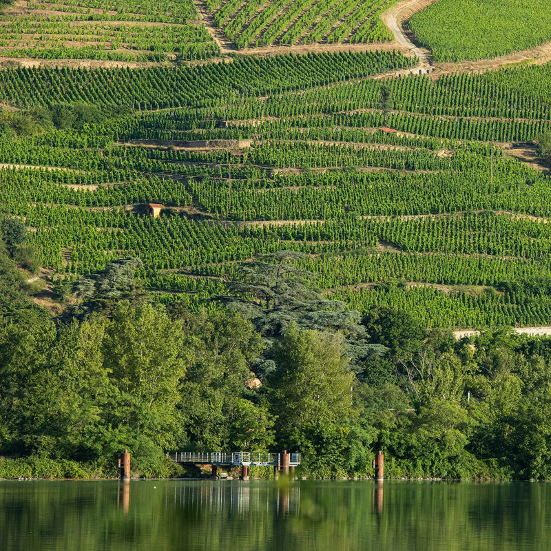 Domaine Andre Perret