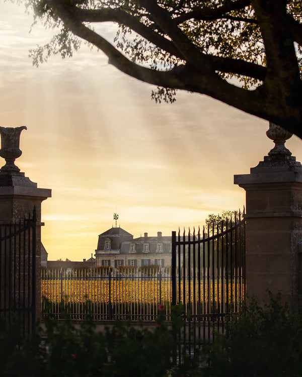 Chateau La Mission Haut-Brion