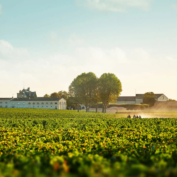 Chateau Mouton Rothschild