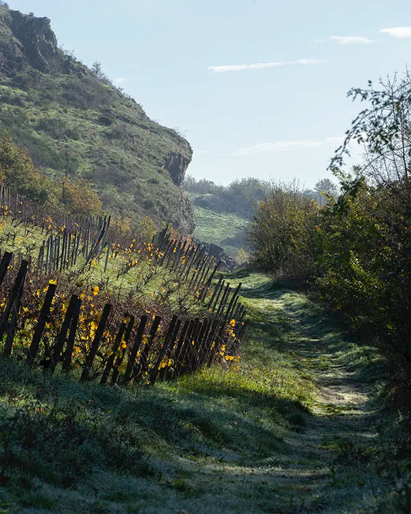 Domaine Belargus