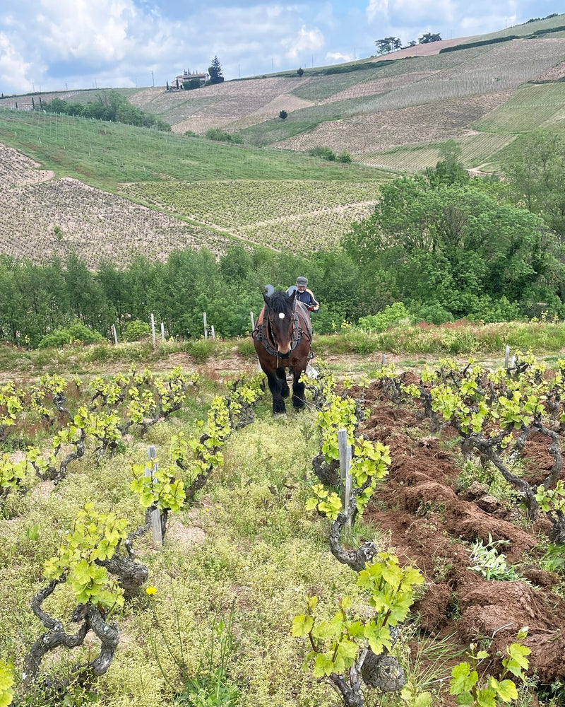 Domaine Lafarge Vial
