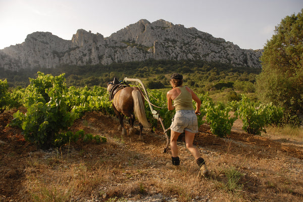 Le Clos des Fees