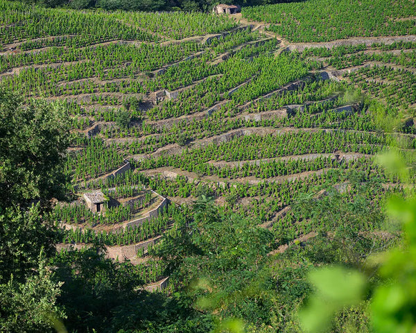 Domaine Andre Perret