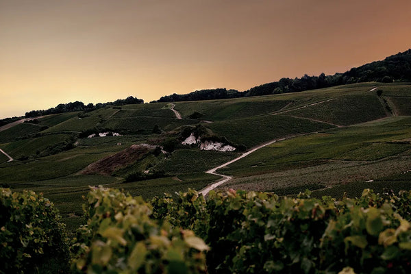 Champagne Bollinger