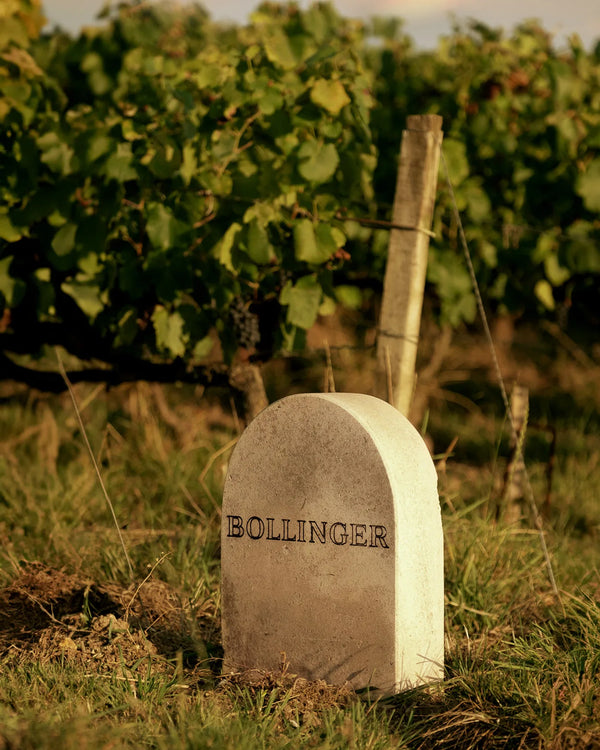 Champagne Bollinger