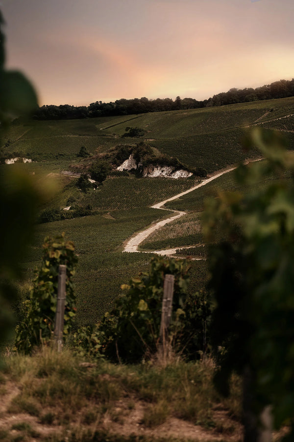 Champagne Bollinger
