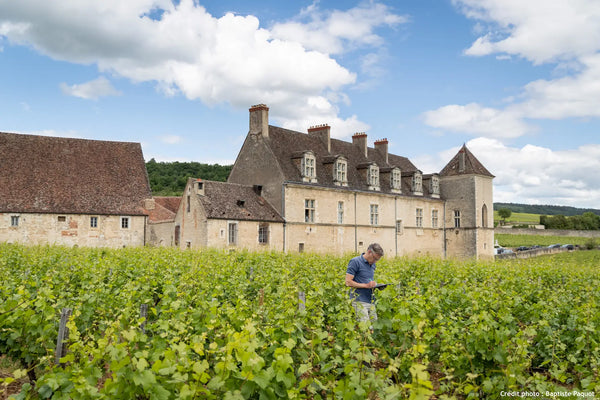 Domaine Meo-Camuzet