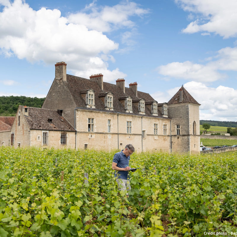 Domaine Meo-Camuzet