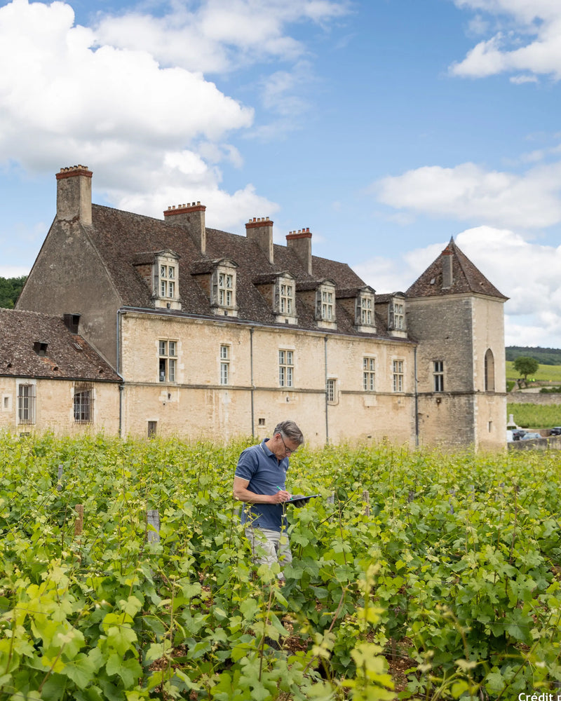 Domaine Meo-Camuzet