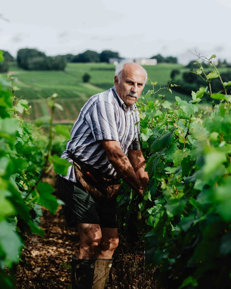 Domaine Lavantureux