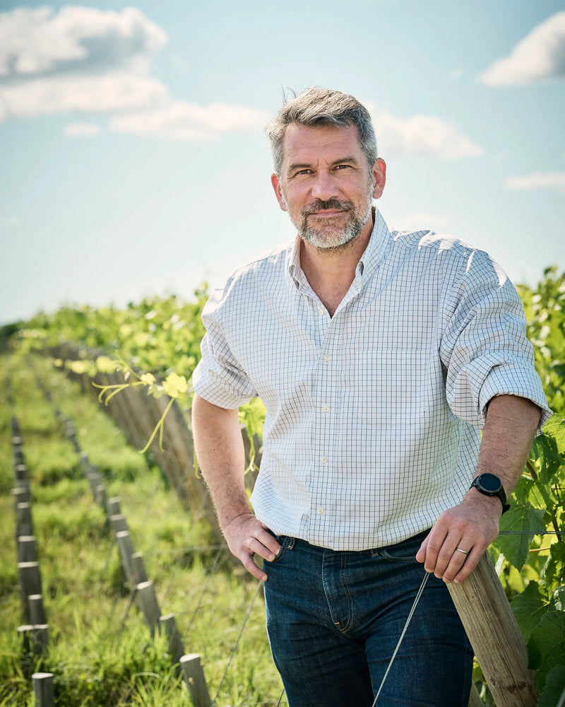 Chateau Pichon Longueville Comtesse de Lalande