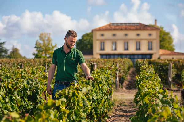 Chateau La Mission Haut-Brion