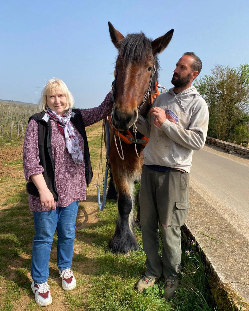 Domaine de la Vougeraie
