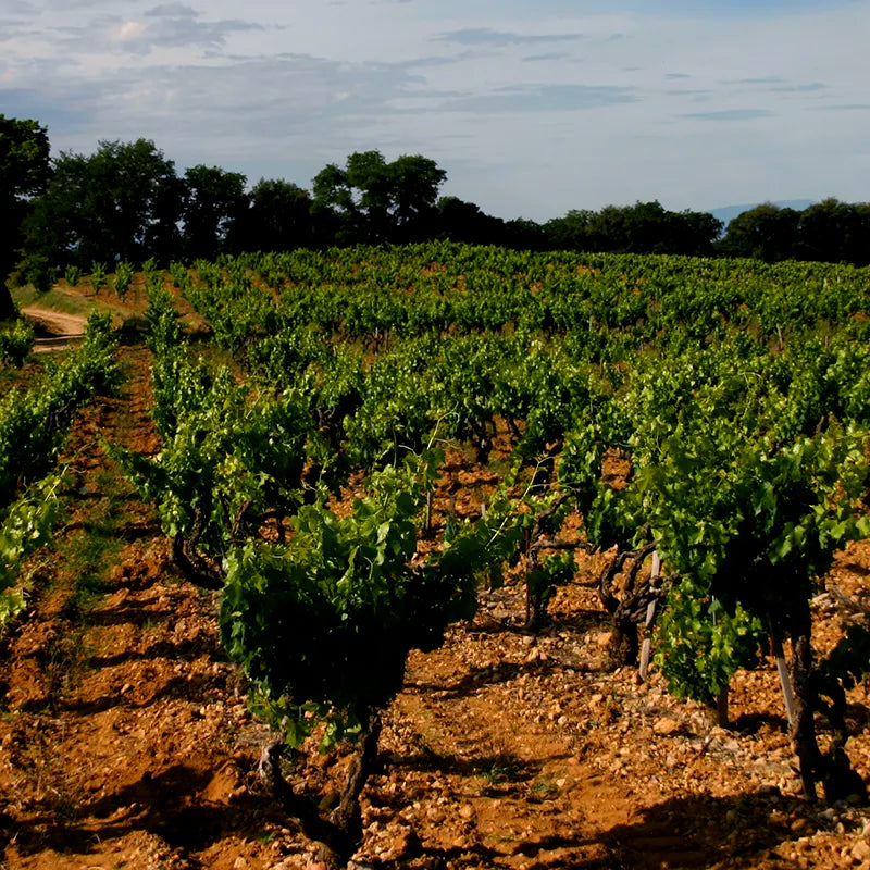 Domaine Giraud