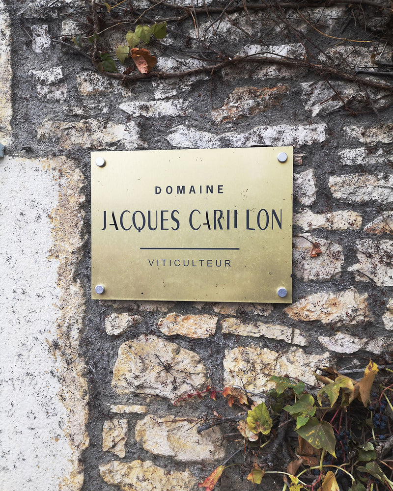 Domaine Jacques Carillon