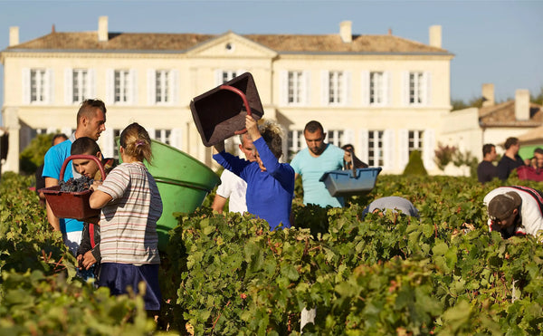 Chateau Branaire-Ducru