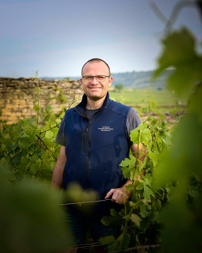 Domaine Boisson Frere Et Soeur